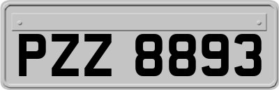 PZZ8893