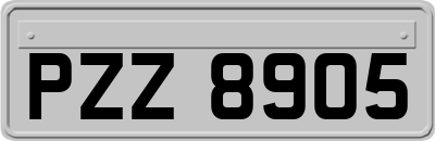 PZZ8905