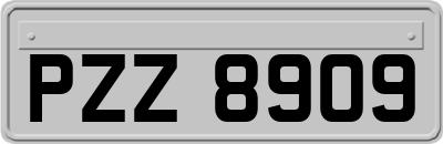 PZZ8909