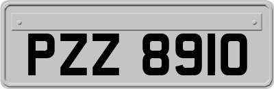 PZZ8910