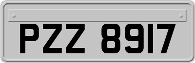 PZZ8917