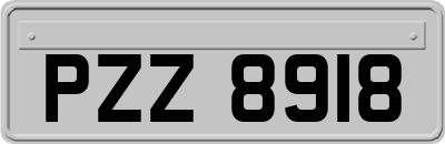 PZZ8918