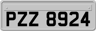 PZZ8924