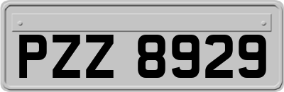 PZZ8929