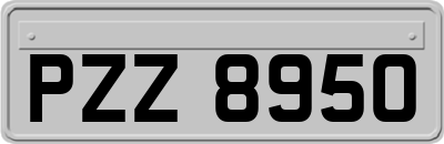 PZZ8950