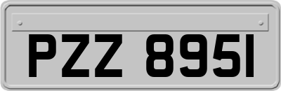 PZZ8951