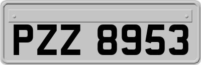 PZZ8953