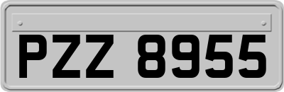 PZZ8955