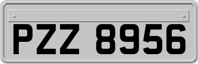 PZZ8956