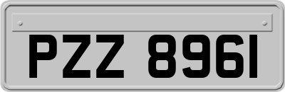 PZZ8961