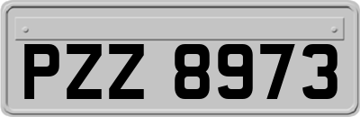 PZZ8973