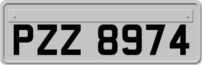 PZZ8974