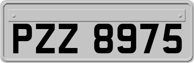 PZZ8975