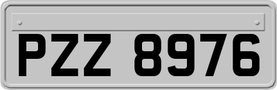 PZZ8976