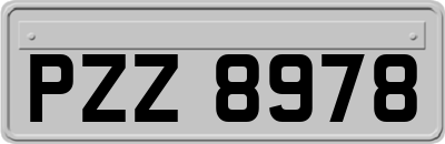 PZZ8978