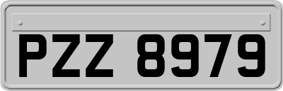 PZZ8979