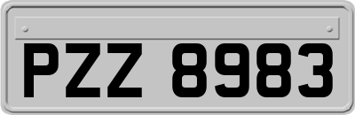 PZZ8983