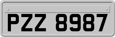 PZZ8987