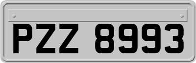 PZZ8993