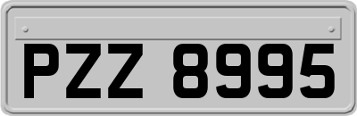 PZZ8995