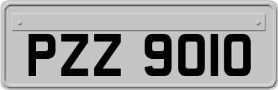 PZZ9010