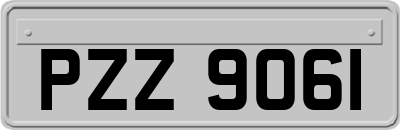 PZZ9061