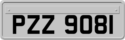 PZZ9081