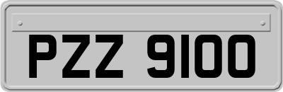 PZZ9100