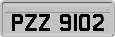 PZZ9102