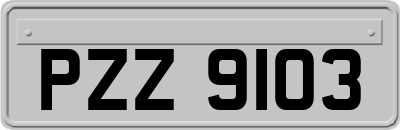 PZZ9103