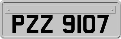 PZZ9107