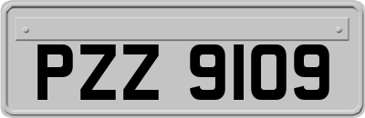 PZZ9109