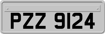 PZZ9124