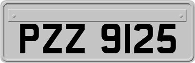 PZZ9125