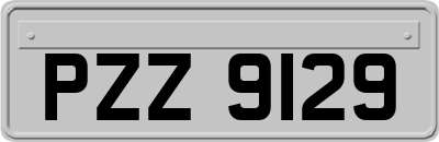 PZZ9129