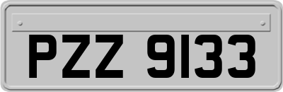 PZZ9133