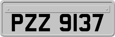 PZZ9137