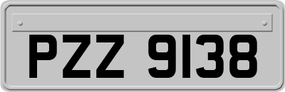 PZZ9138