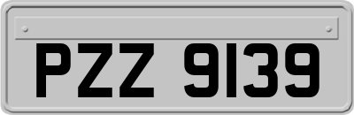 PZZ9139