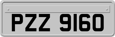 PZZ9160