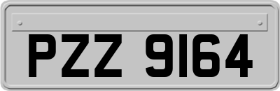 PZZ9164