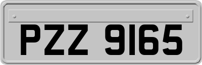 PZZ9165