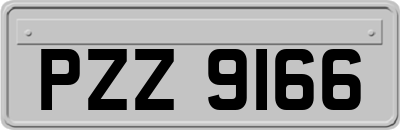 PZZ9166