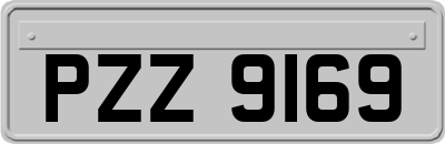 PZZ9169