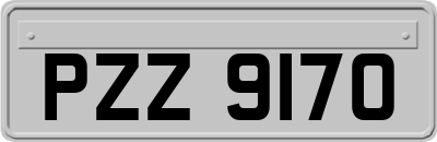 PZZ9170