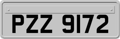 PZZ9172