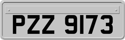 PZZ9173