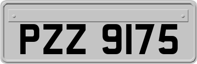 PZZ9175