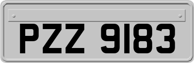 PZZ9183