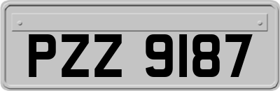 PZZ9187